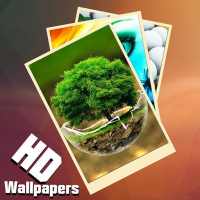 HD Wallpapers And Backgrounds icon