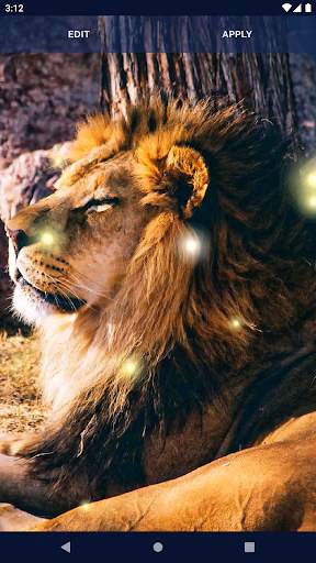 Brave Lion Live Wallpaper 4 تصوير الشاشة