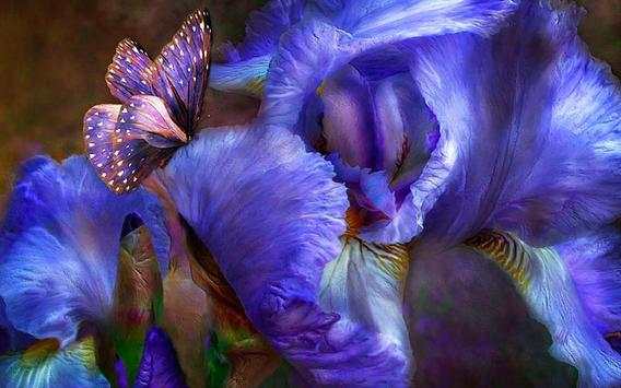 Iris Music Live Wallpaper स्क्रीनशॉट 4