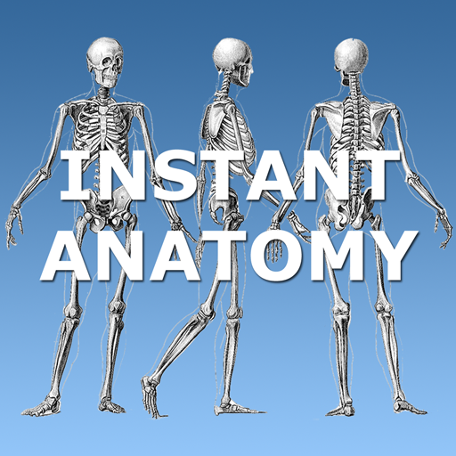 Anatomy Lectures icon