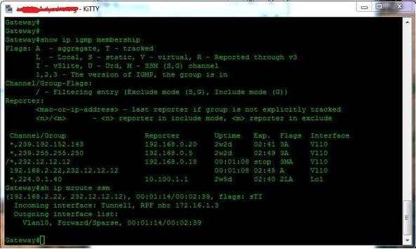Simple Multicast screenshot 2