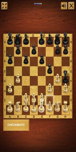 Master Chess screenshot 4