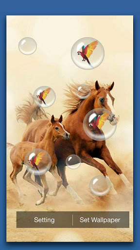 Horses Live Wallpaper screenshot 4