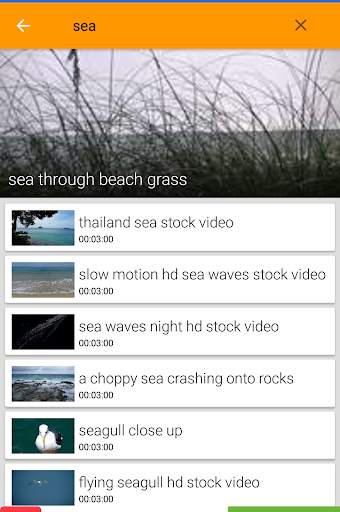 Biloo Video Effects screenshot 4
