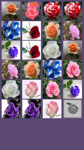 Rose Memory Game screenshot 5