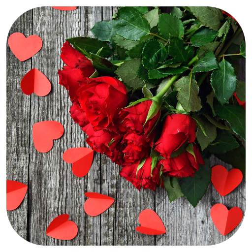 Flowers HD Wallpaper 1.0.0