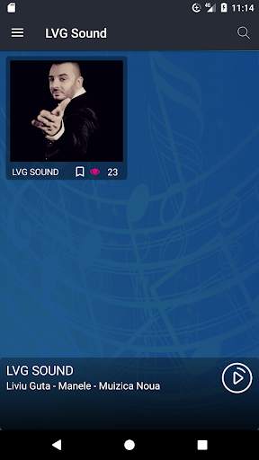 LVG Sound screenshot 1