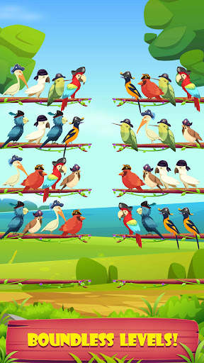 Pirate Bird Sort screenshot 5