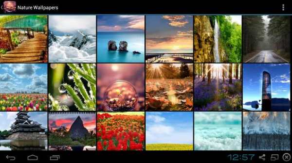 Nature Wallpapers screenshot 5