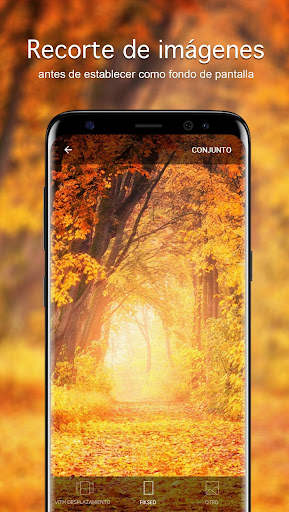 Fondos de pantalla de otoño 4K screenshot 3