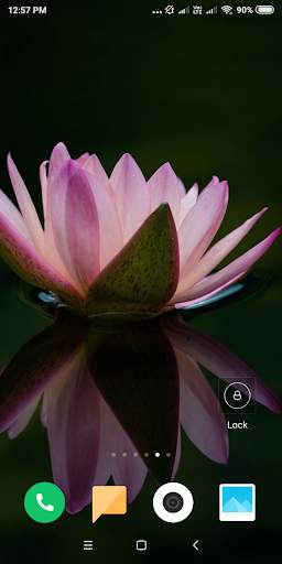 Lotus Wallpaper screenshot 5