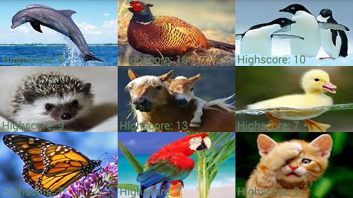 Animals Puzzle Game screenshot 1