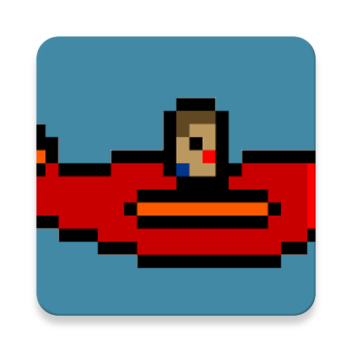 Plane vs. Bird icon