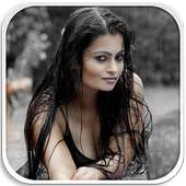 Desi Girl Sexy Indian Girl WPs logo
