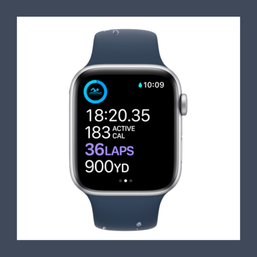 Apple Watch SE icon