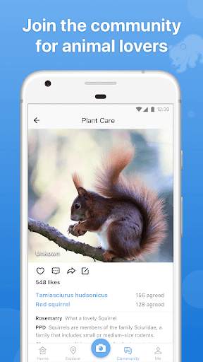 Picture Animal - Animal ID Pro screenshot 4