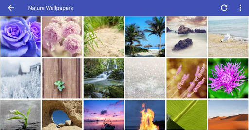 Nature Wallpapers HD screenshot 6