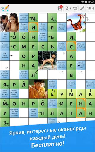 Сканворд Дня screenshot 6