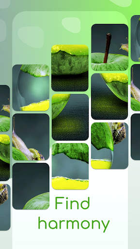 FaceTo Mini screenshot 5