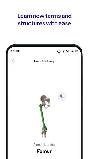 Daily Anatomy Flashcards स्क्रीनशॉट 3