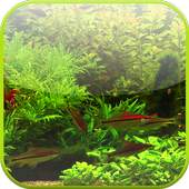 Real Aquarium Wallpaper 3.0