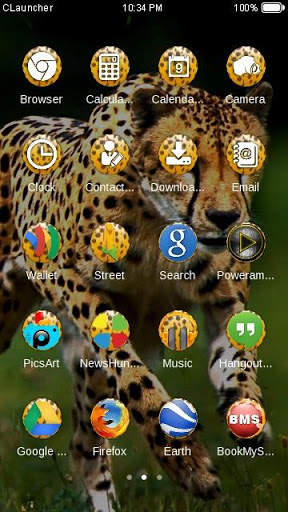 Wild Cheetah  Animal Theme HD screenshot 3