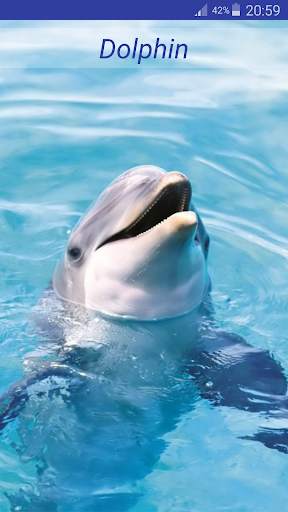 Cute Animal Sounds screenshot 6
