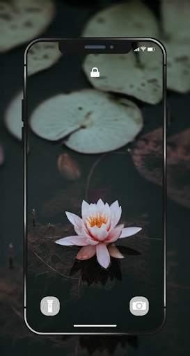 ✿ HD Flowers Wallpaper - 4K Beautiful Flowers screenshot 6