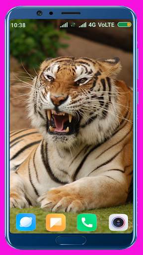 Tiger Wallpaper Best 4K screenshot 8