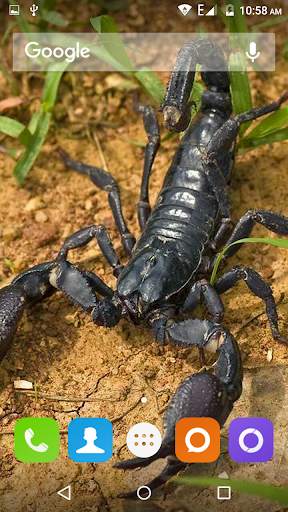 Scorpion HD Wallpaper screenshot 4