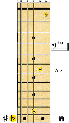 5 String Bass Note Legend screenshot 4