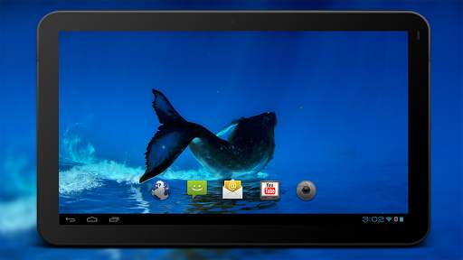 4K Whales Video Live Wallpapers screenshot 4