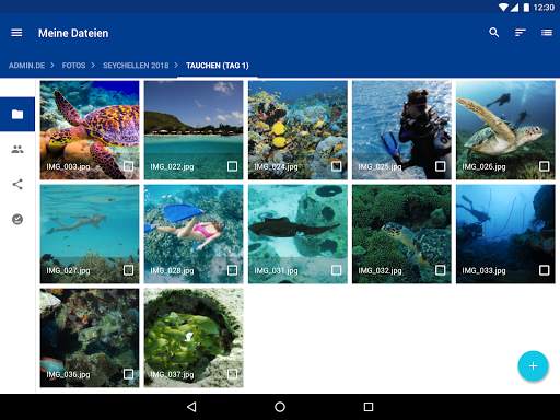 IONOS HiDrive screenshot 9