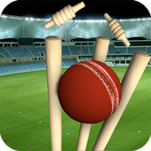 Real Cricket Runout Championship icon