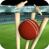 Real Cricket Runout Championship 1.0