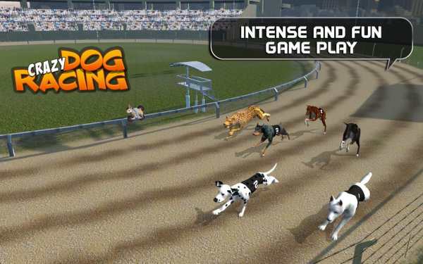 Crazy Dog Racing screenshot 7