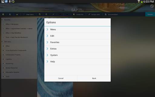 Liquid UI Client for SAP screenshot 21