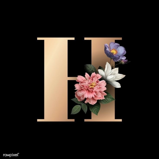 Featured images of the letter H icon