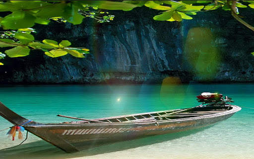 Sunshine Nature Leaf Wallpaper screenshot 4