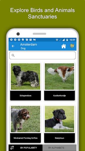 Amsterdam Travel & Explore, Offline City Guide screenshot 5