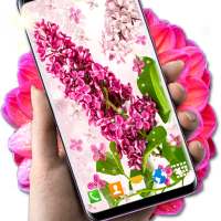 Spring Live Wallpaper 🌞 Summer Flower Wallpapers icon