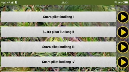 Suara pikat burung kutilang screenshot 5