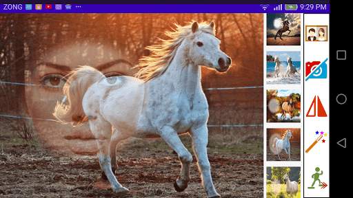 Horse Photo Frames screenshot 3
