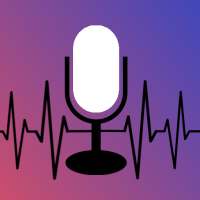 Voice Assistant