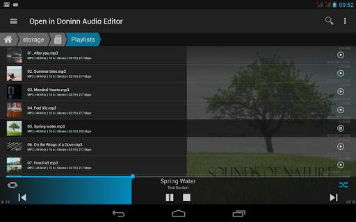 Doninn Audio Editor Free screenshot 12