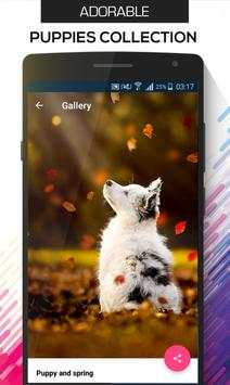 Wallpapers HD - Wallsground screenshot 6