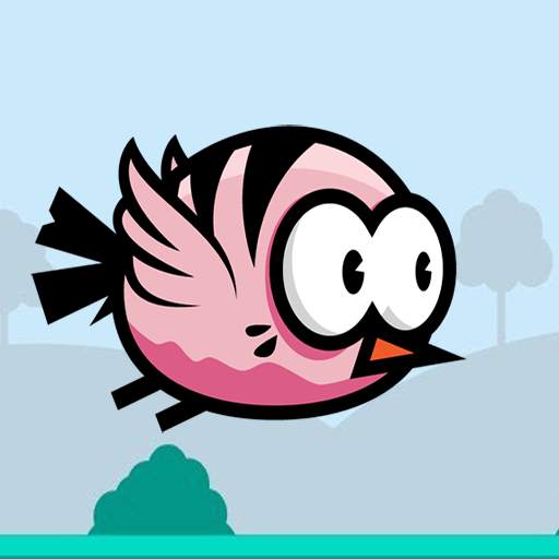Crazy Bird 1.1
