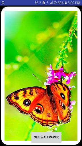 HDs Wallpaper 50k screenshot 6