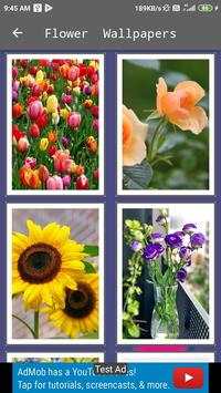 Best 10K  HD  Wallpapers App 2020 4 تصوير الشاشة