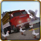 Chicken Transport Van Driver